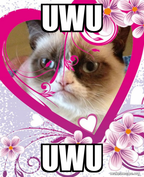 Grumpy cat Valentines Day meme