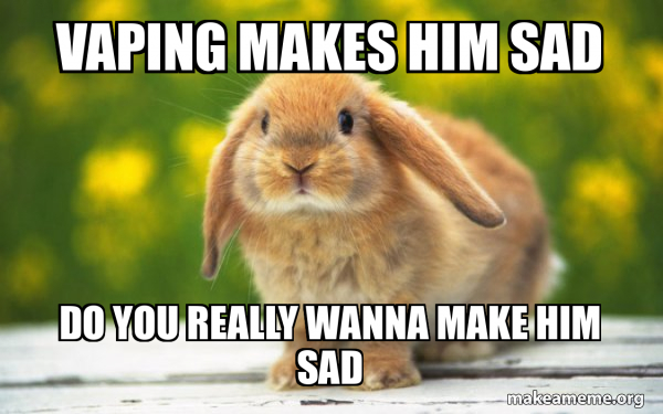 Regretful Rabbit meme