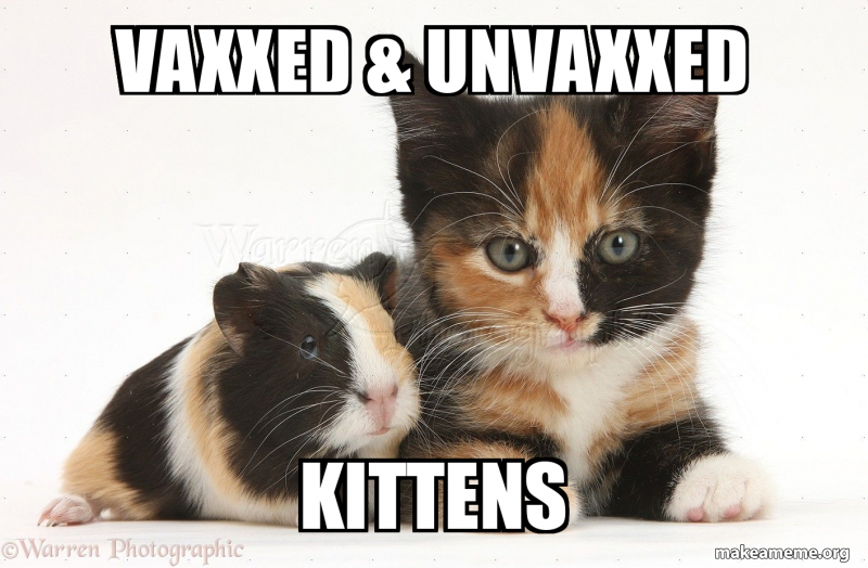 vaxxed-unvaxxed-kittens-meme-generator
