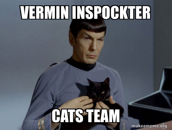 Spock and Cat Meme meme