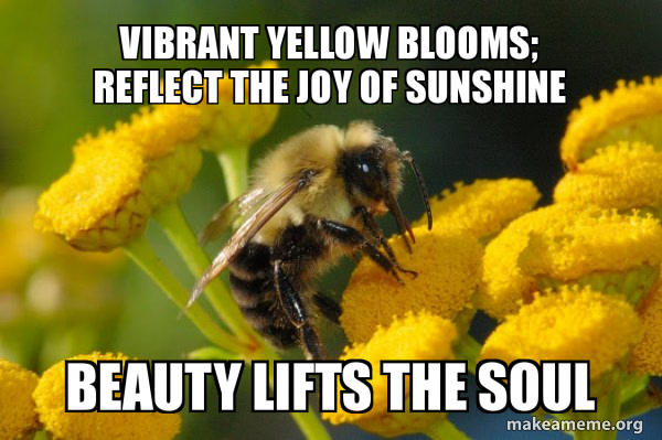 Good Guy Bee meme