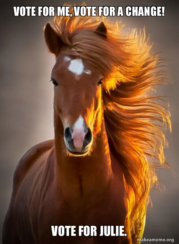 Ridiculously photogenic horse meme