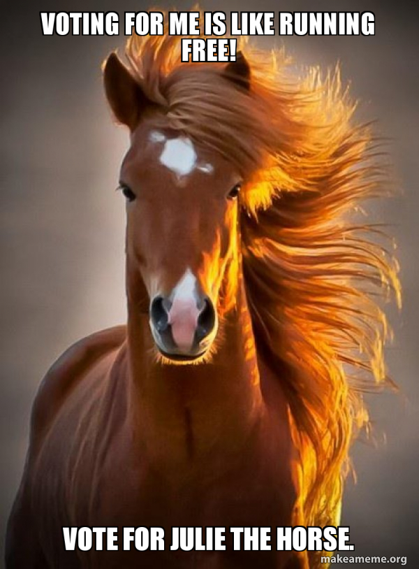 Ridiculously photogenic horse meme