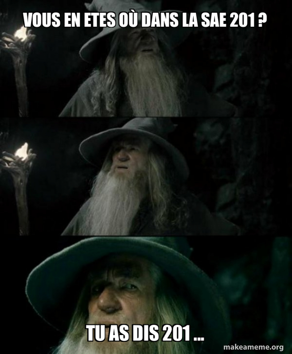 Confused Gandalf meme