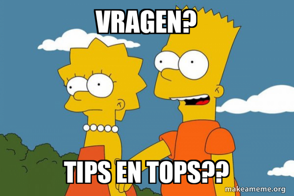 vragen? Tips en tops?? - Bart and Lisa Chat Meme Generator