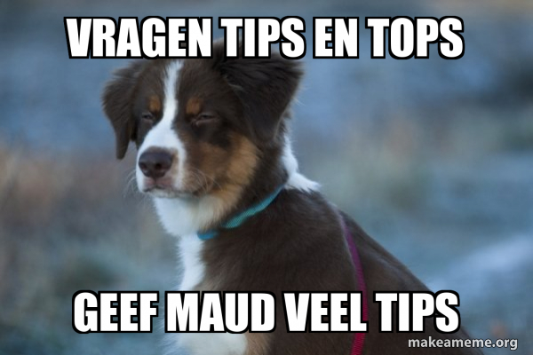 Unsure Dog meme