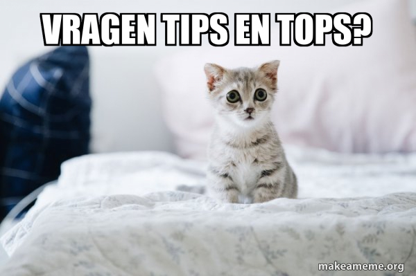 vragen tips en tops? - Cute Kitten Meme Generator