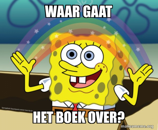 Waar gaat het boek over? - Rainbow SpongeBob Meme Generator