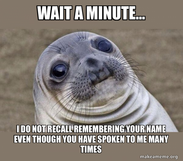 Squeamish Seal meme