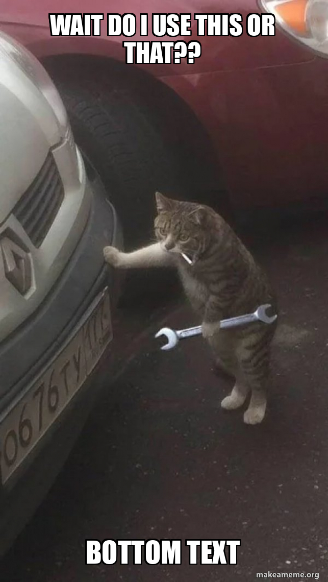 Waitido wait do i use this or that?? BOTTOM TEXT - Mechanic Cat Meme Generator
