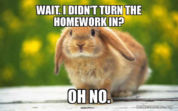 Regretful Rabbit meme