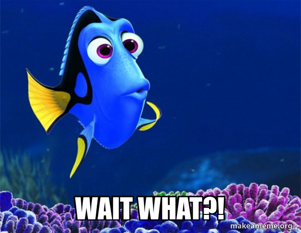Dory from Nemo (5 second memory) meme