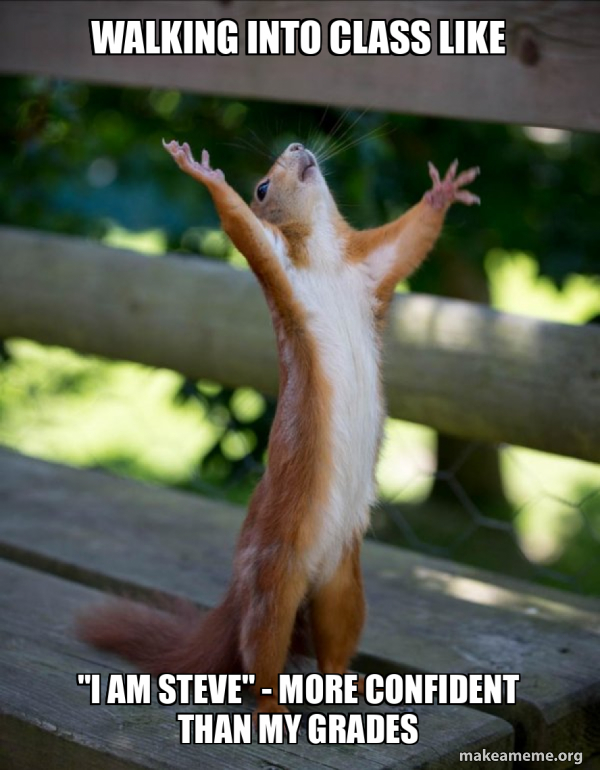 Happy Squirrel meme