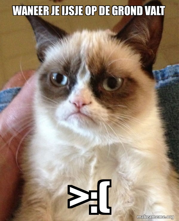 Grumpy Cat meme