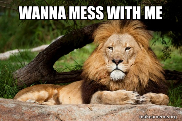 Contemplative Lion meme