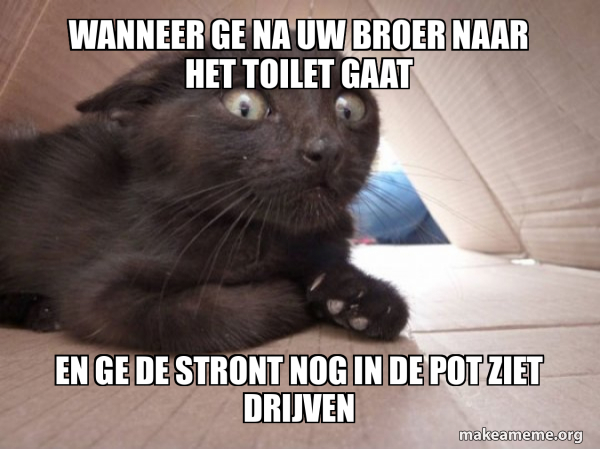 Stront Meme Wanneer ge na uw broer naar het toilet gaat en ge de stront nog in de ...