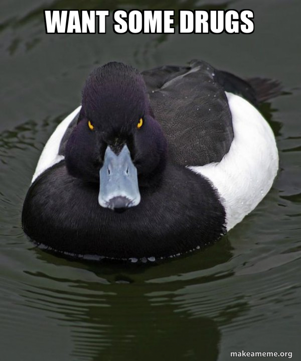 want some drugs Revenge Duck ( Angry Advice Duck ) Meme Generator
