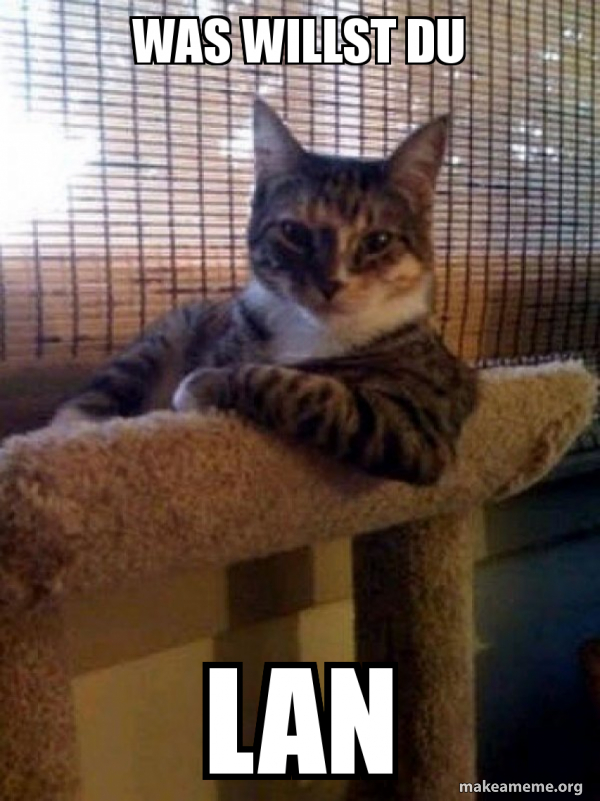 The Most Interesting Cat in the World meme