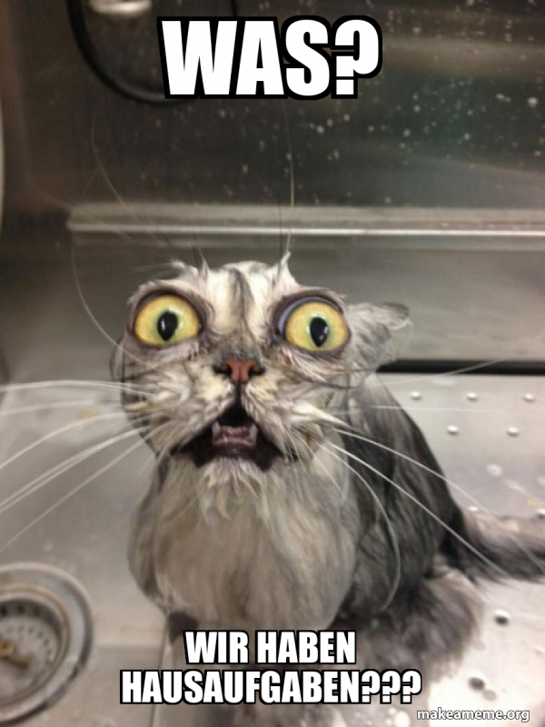 WAS? Wir haben Hausaufgaben??? Cat bath Meme Generator