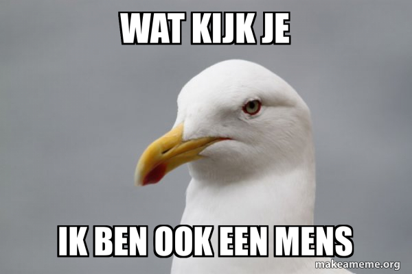 Ik Ben Ook Een Mens