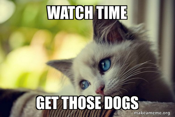 First World Cat Problems meme
