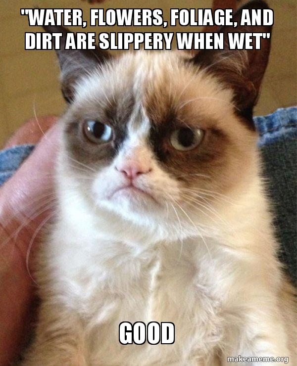 Water Flowers Foliage And Dirt Are Slippery When Wet Good Grumpy Cat Make A Meme Water Flowers Foliage And Dirt Are Slippery When Wet Good Grumpy Cat Make A Meme