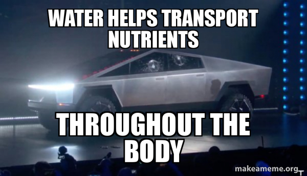 Tesla Truck meme