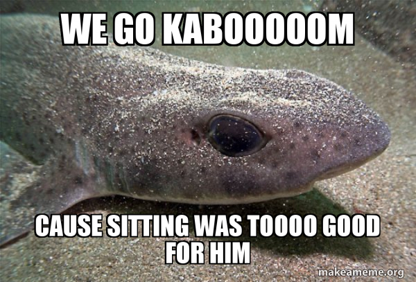 Dirty Joke Dogfish meme