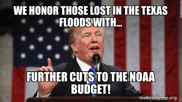 Donald Trump meme