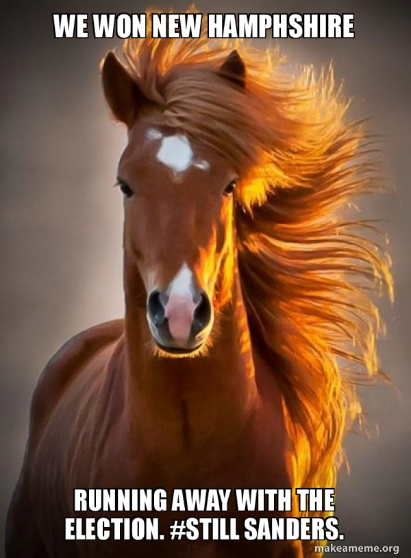 Ridiculously photogenic horse meme