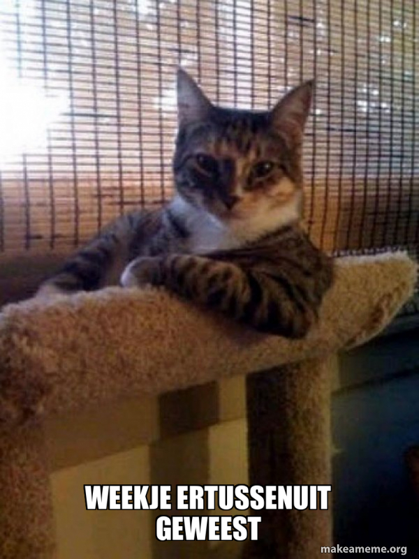 The Most Interesting Cat in the World meme