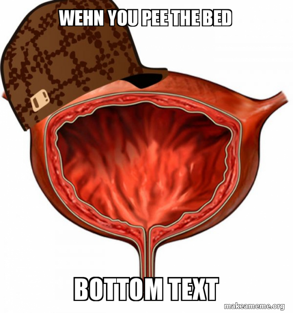 wehn you pee the bed bottom text Scumbag Bladder Make a Meme