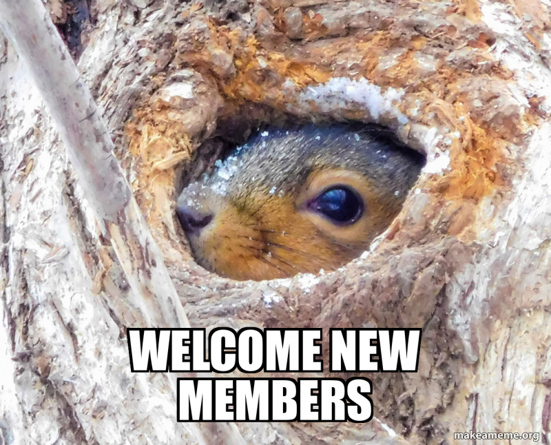 WELCOME NEW MEMBERS Meme Generator