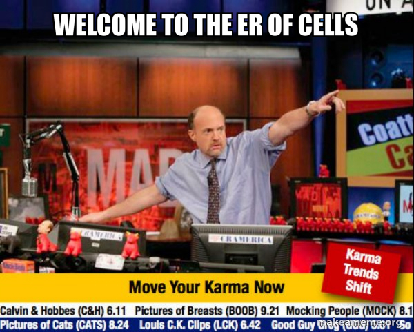 Mad Karma with Jim Cramer meme