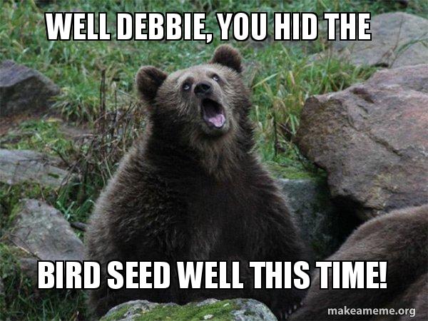 Well Debbie, you hid the Bird seed well this time! - Sarcastic Bear | Make  a Meme
