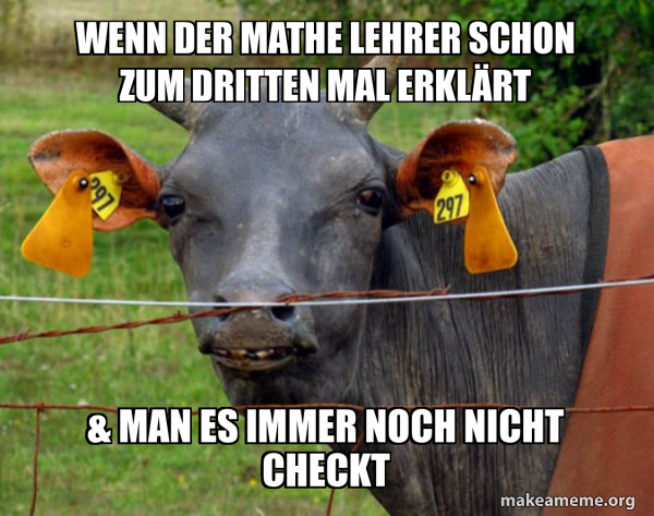 Hairless Cow meme