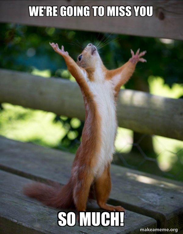 We're going to miss you So much! - Happy Squirrel Meme Generator