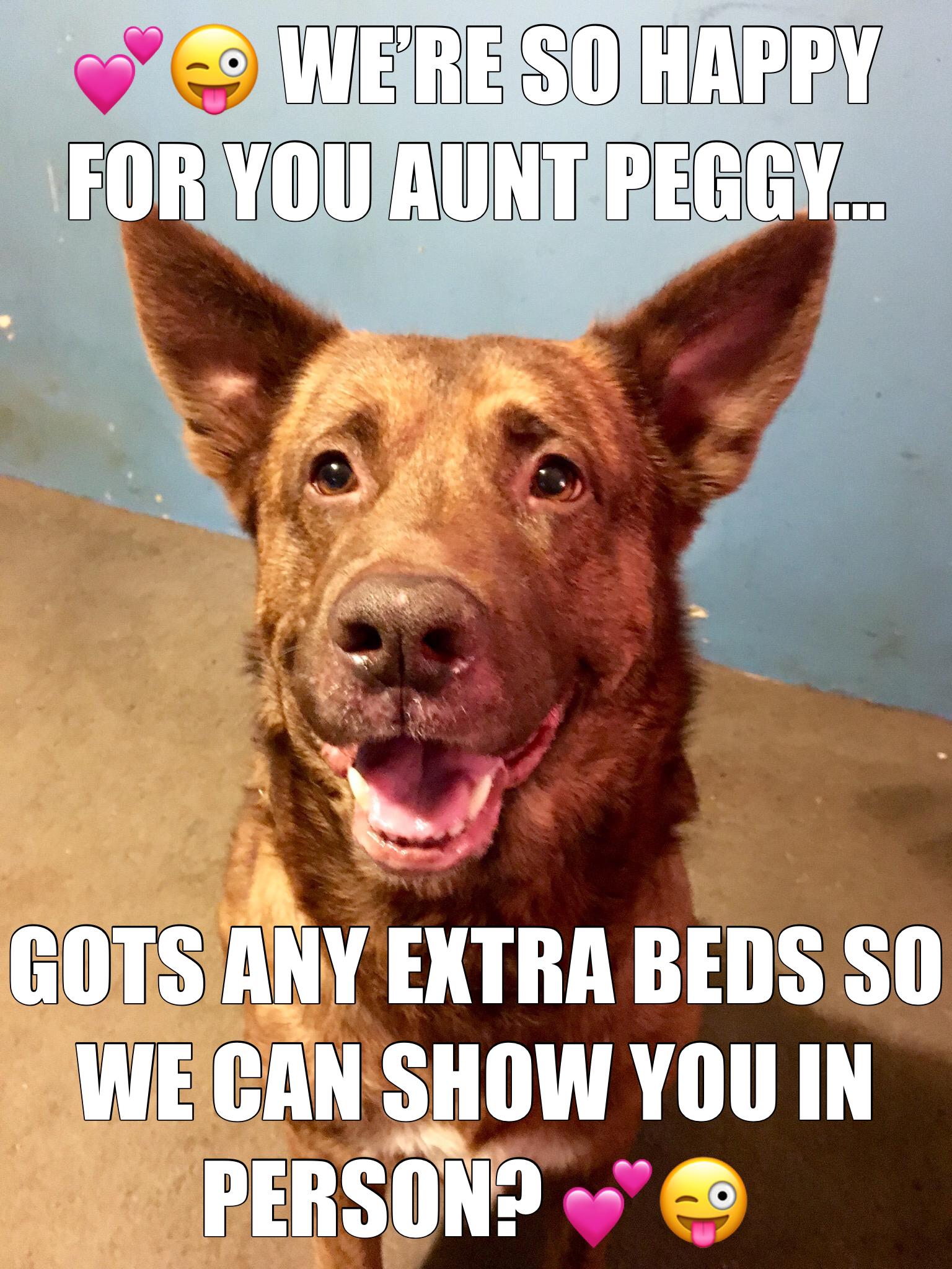 We Re So Happy For You Aunt Peggy Gots Any Extra Beds So