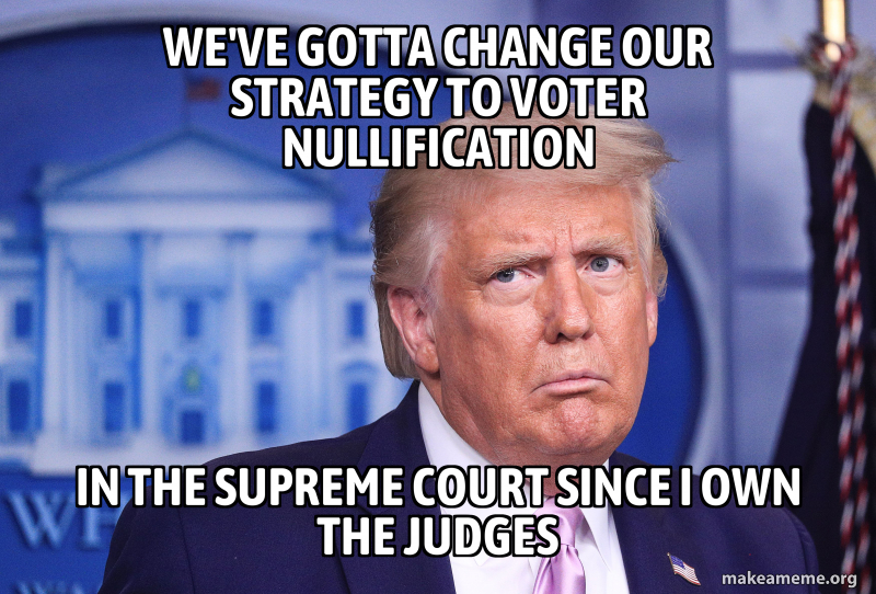we've gotta change our strategy to voter nullification in the supreme ...