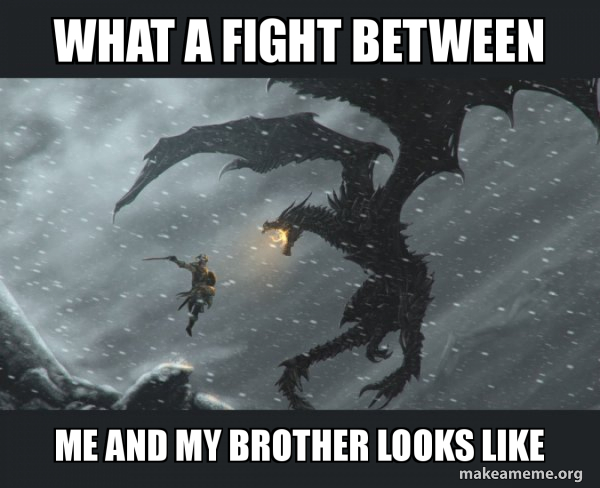 Skyrim Dragon Slaying meme