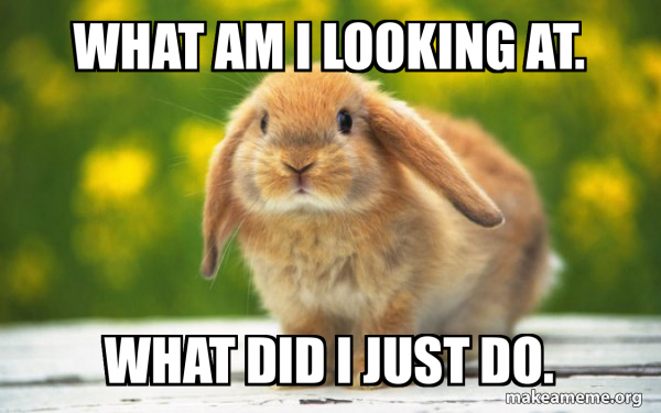 Regretful Rabbit meme