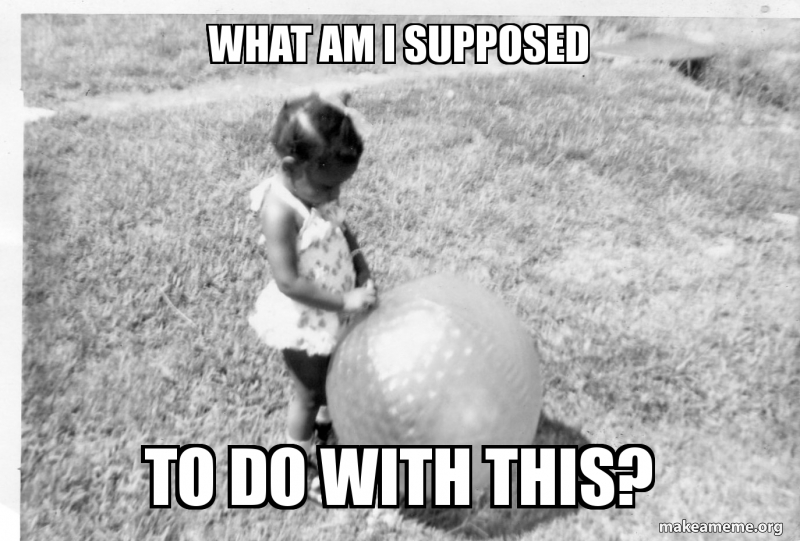 what am i supposed to do with this? Meme Generator