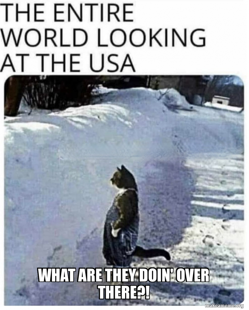 what are they doin' over there?! Meme Generator