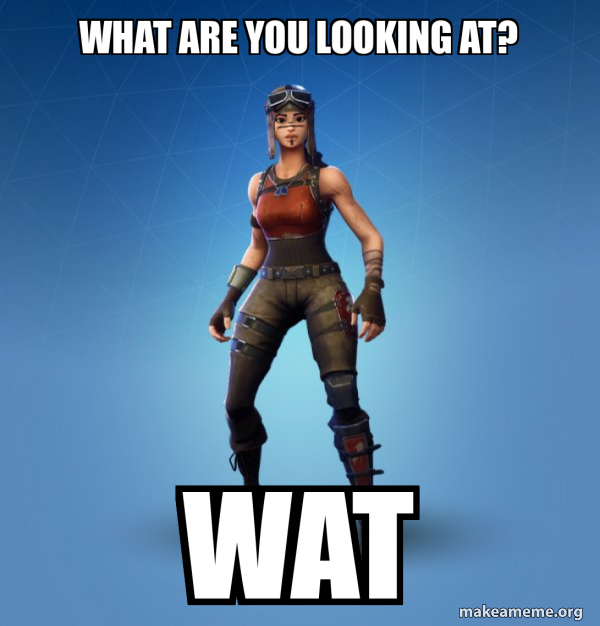 Renegade Raider Fortnite Skin meme