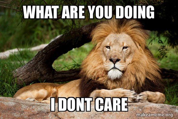Contemplative Lion meme