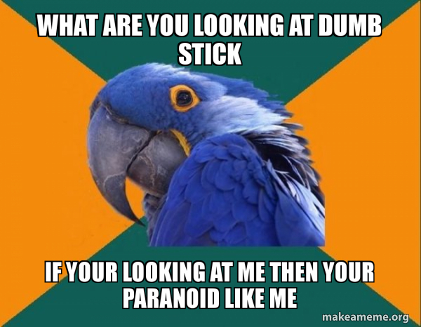 Paranoid Parrot meme