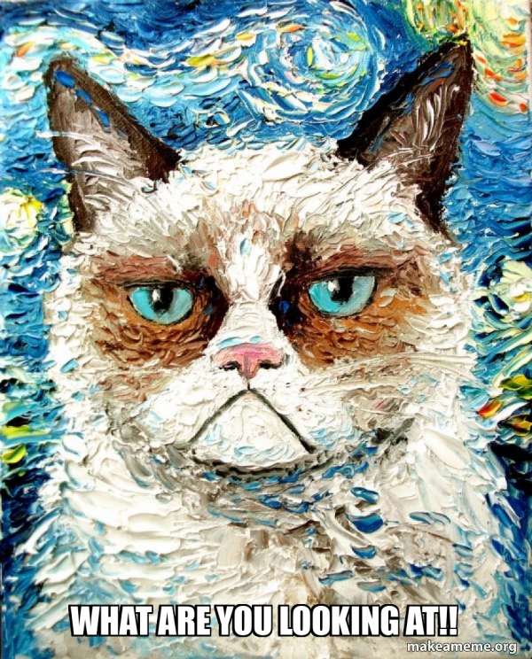 Vincent Van No - Grumpy Cat meme