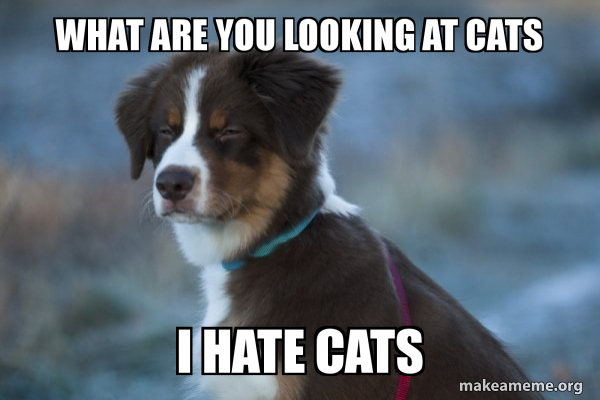 Unsure Dog meme