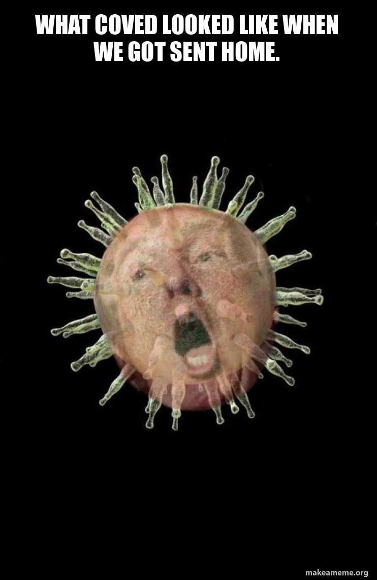 Trumpvirus TrumpPandemic meme