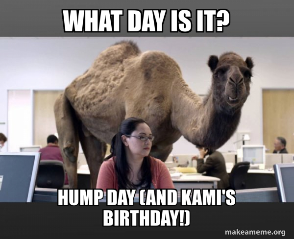 Hump Day Camel meme